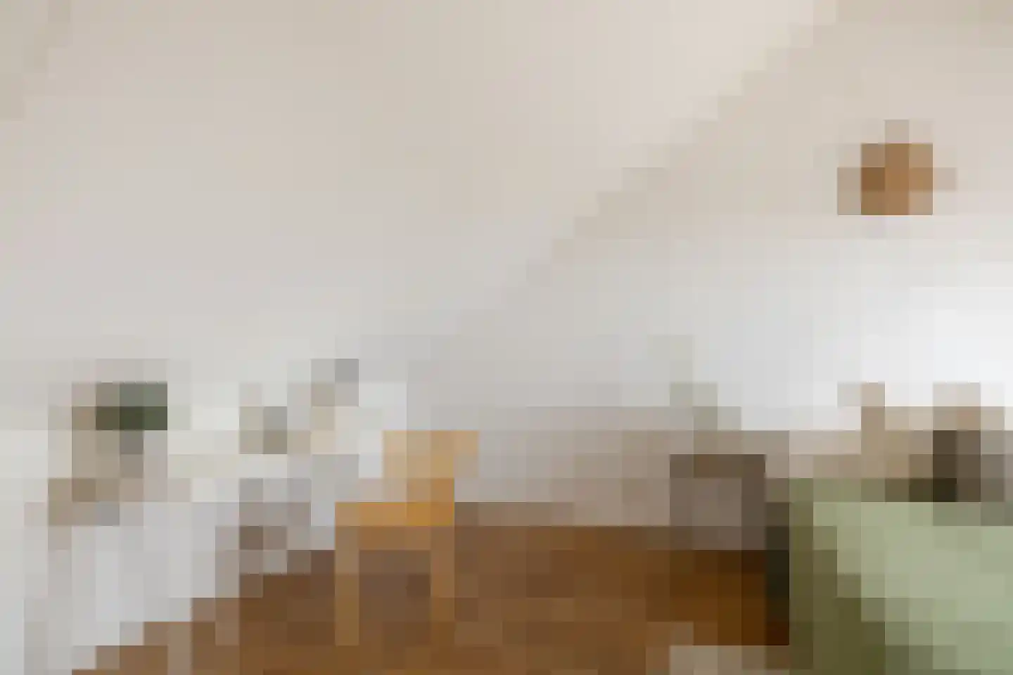 Orinocostraat 37 Purmerend thumbnail 31