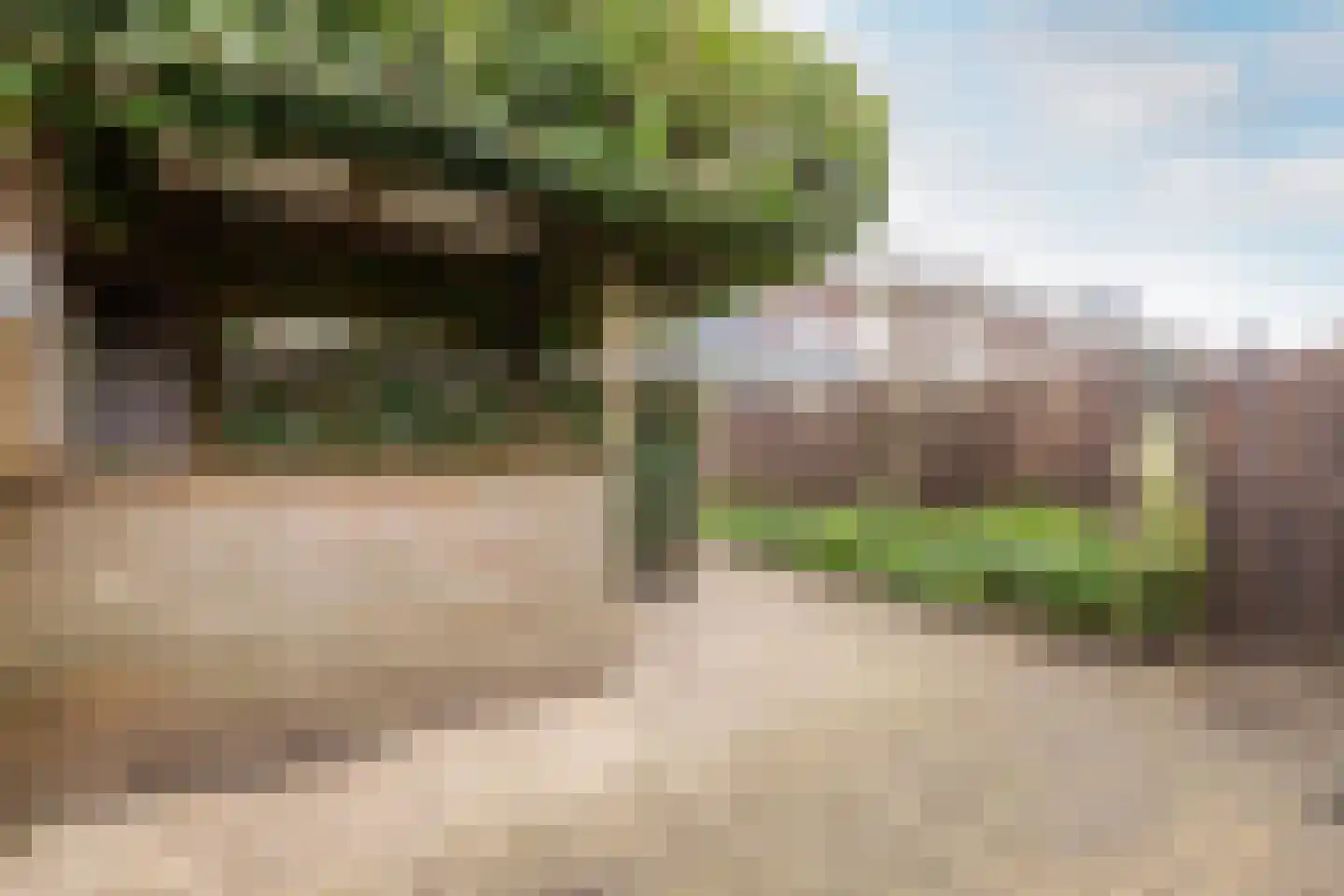 Orinocostraat 37 Purmerend thumbnail 34