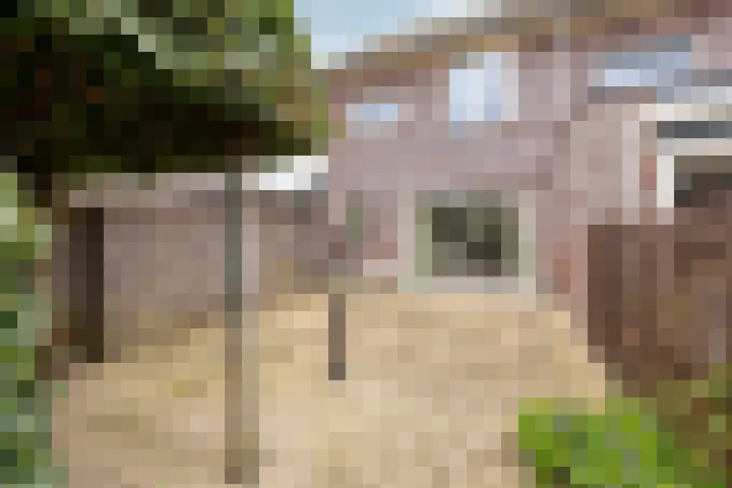 Orinocostraat 37 Purmerend thumbnail 35