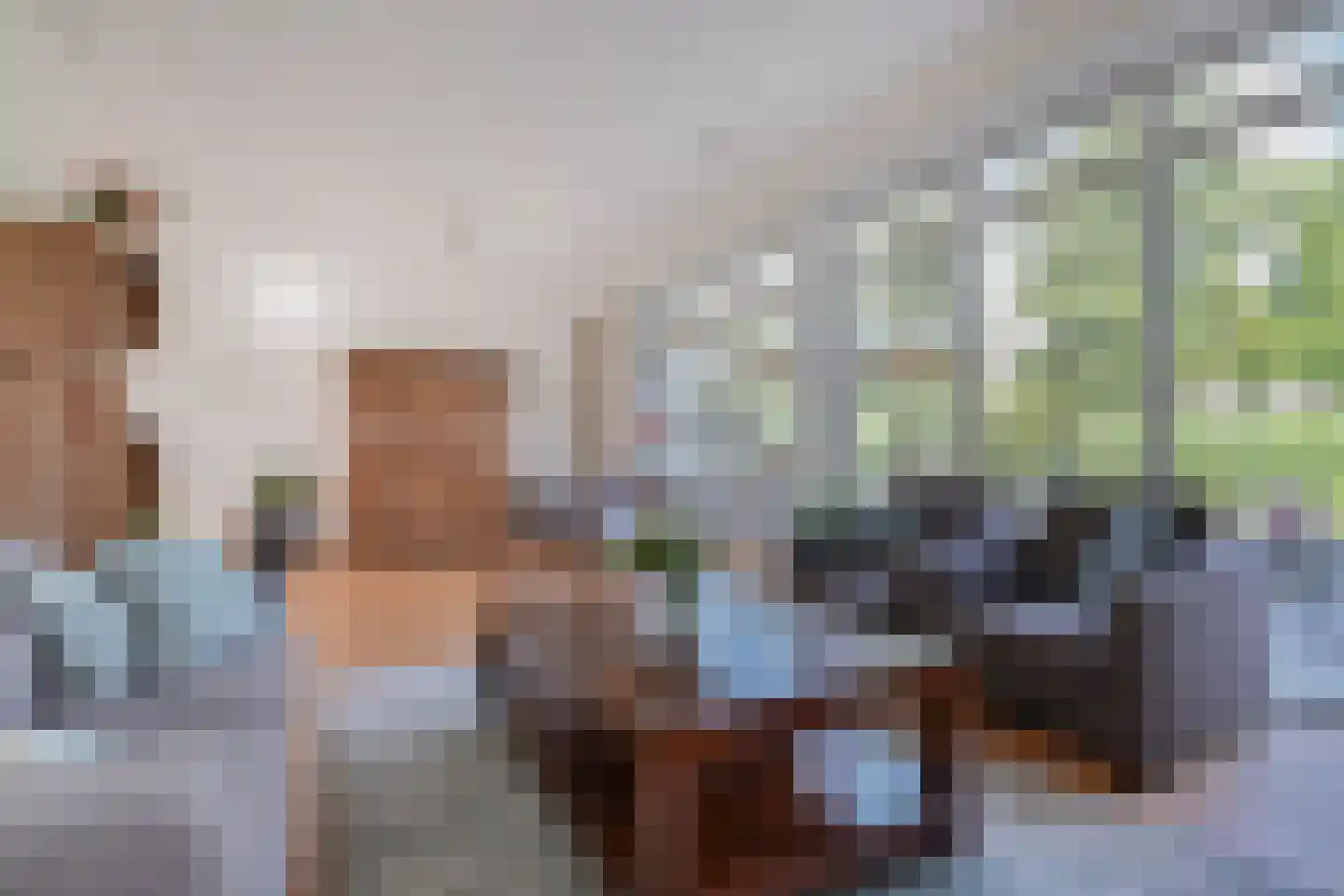 Orinocostroom 17 Zoetermeer thumbnail 19