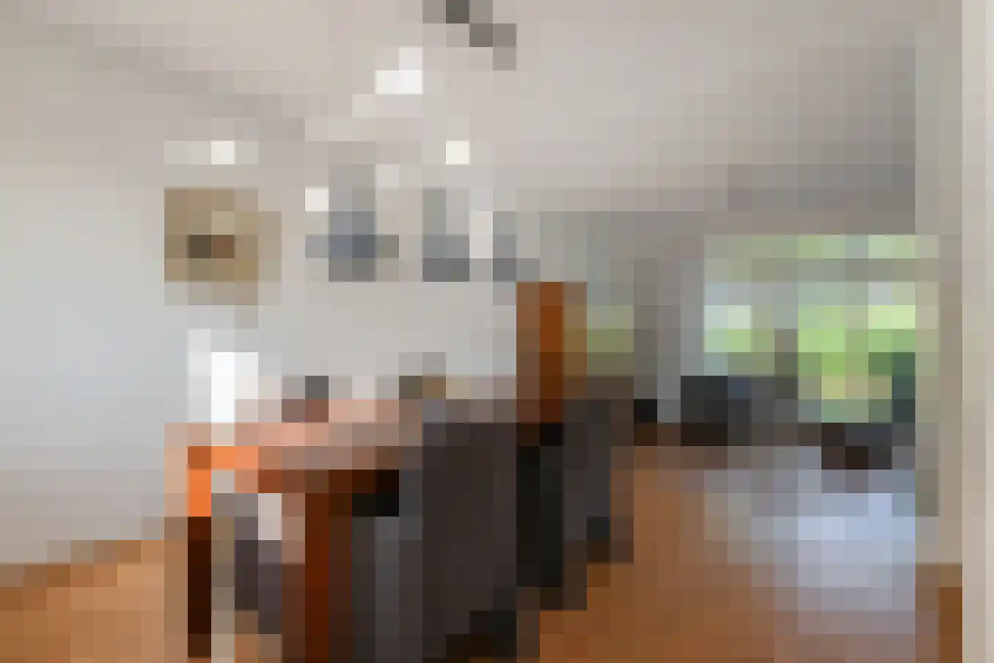 Orinocostroom 17 Zoetermeer thumbnail 23