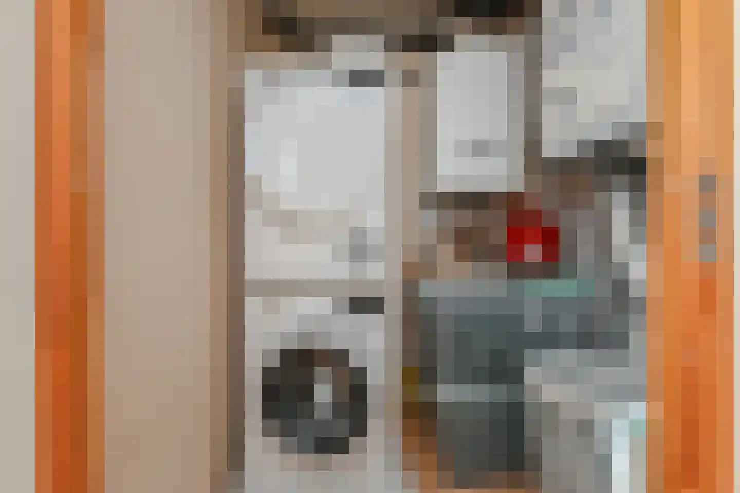 Orinocostroom 17 Zoetermeer thumbnail 43
