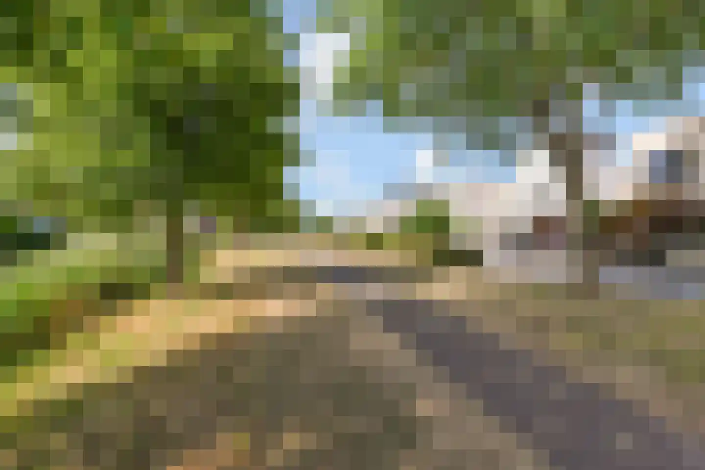 Orinocostroom 17 Zoetermeer thumbnail 56