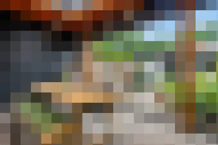 Orion 10 Oss thumbnail 13