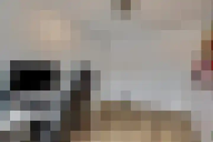 Orion 10 Oss thumbnail 24