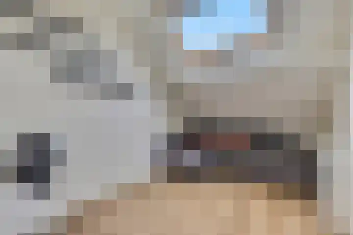 Orion 10 Oss thumbnail 29
