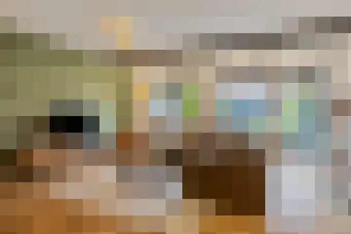 Orion 10 Oss thumbnail 4