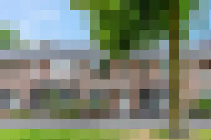 Orion 10 Oss thumbnail 40