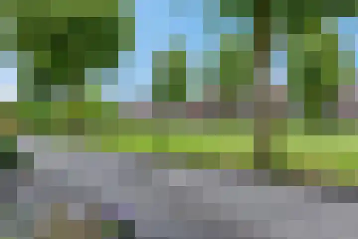 Orion 10 Oss thumbnail 42