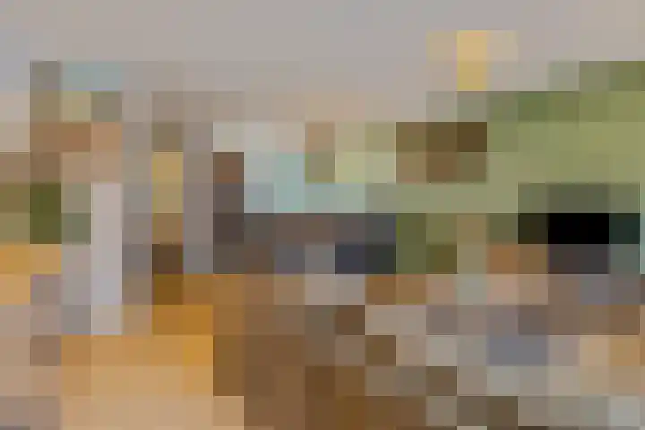 Orion 10 Oss thumbnail 6