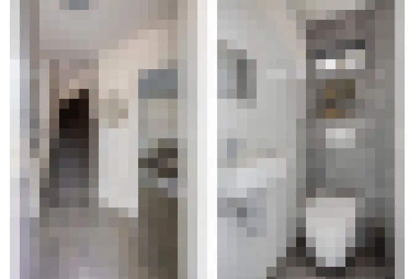 Orion 12 Oss thumbnail 12