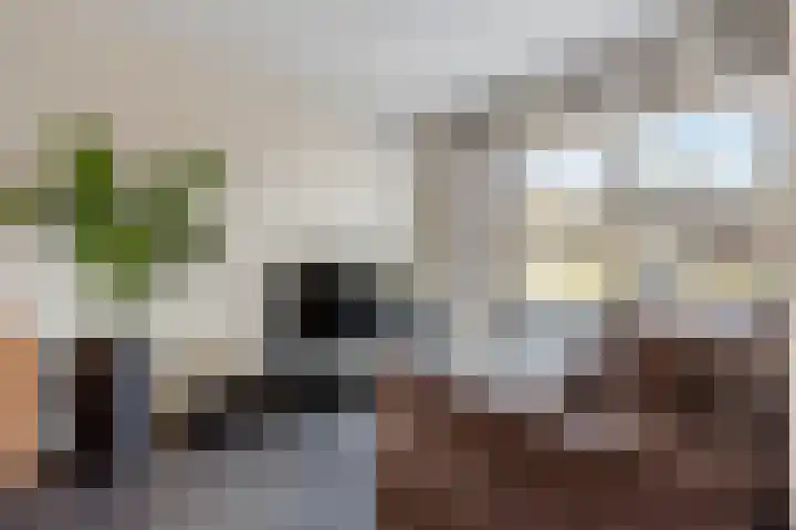 Orion 14 Waddinxveen thumbnail 11