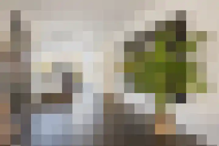 Orion 14 Waddinxveen thumbnail 14