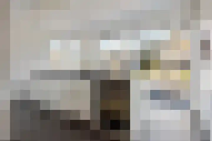 Orion 14 Waddinxveen thumbnail 17