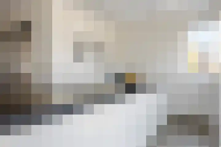 Orion 14 Waddinxveen thumbnail 18