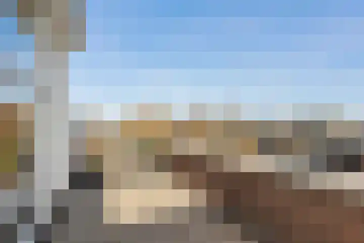 Orion 14 Waddinxveen thumbnail 36
