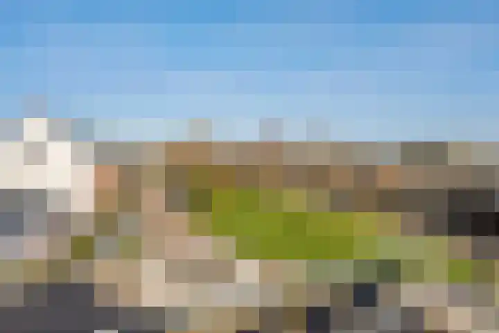 Orion 14 Waddinxveen thumbnail 38