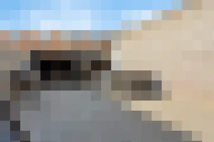 Orion 14 Waddinxveen thumbnail 39