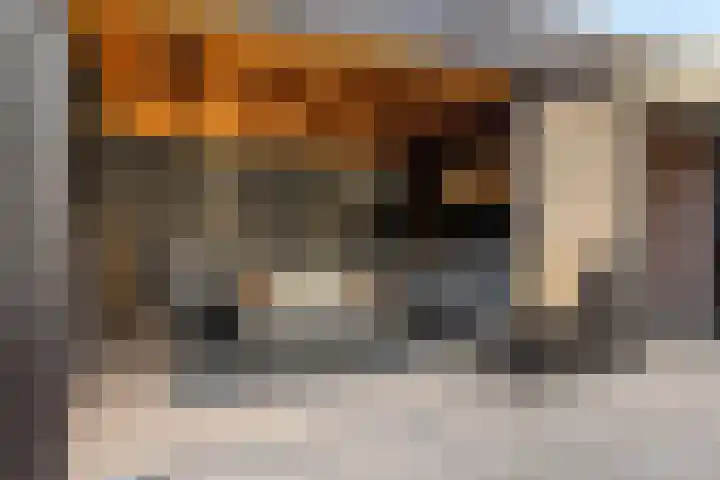 Orion 14 Waddinxveen thumbnail 41