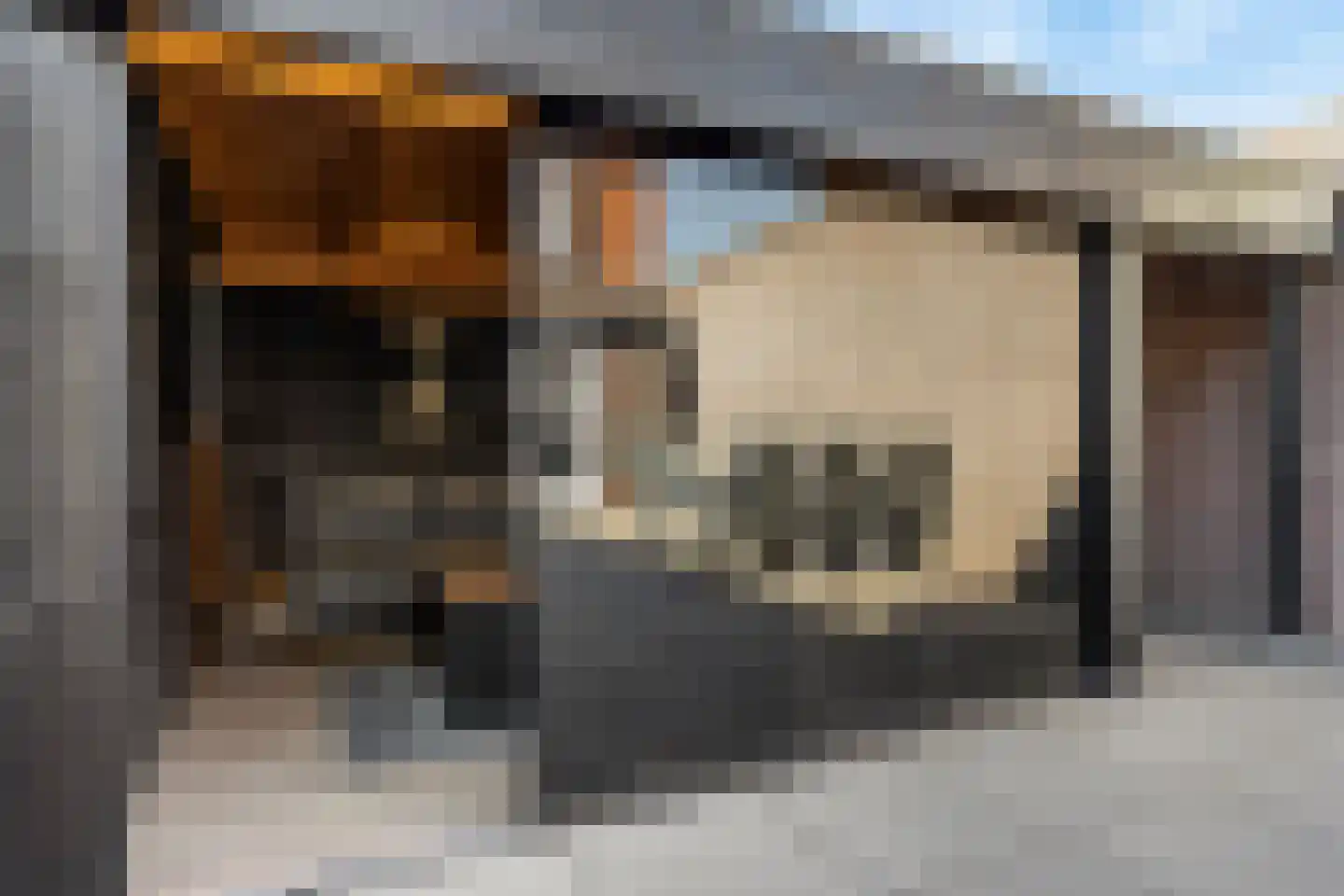 Orion 14 Waddinxveen thumbnail 42