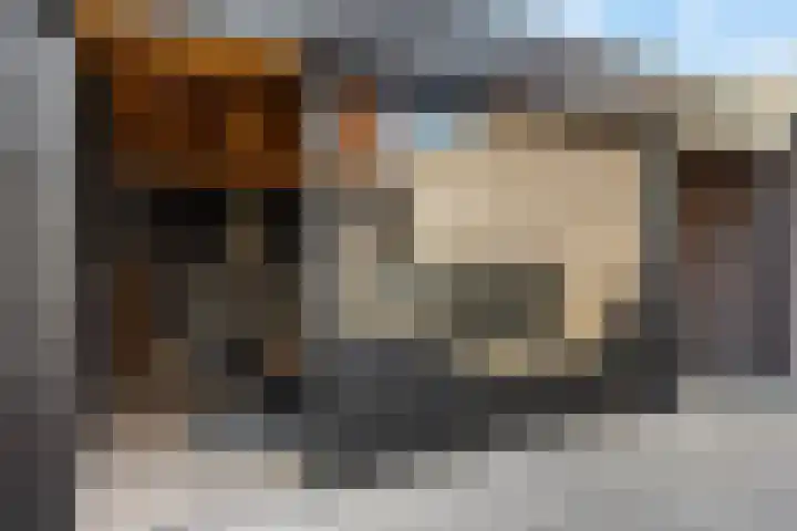 Orion 14 Waddinxveen thumbnail 42