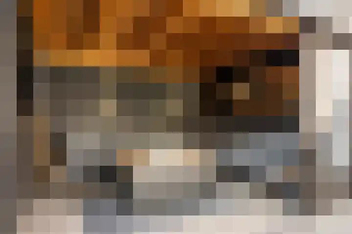 Orion 14 Waddinxveen thumbnail 43