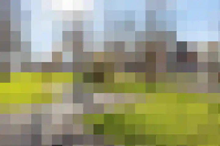 Orion 14 Waddinxveen thumbnail 48