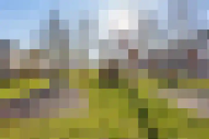 Orion 14 Waddinxveen thumbnail 49