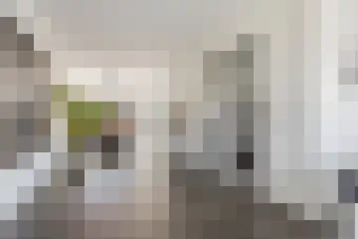 Orion 14 Waddinxveen thumbnail 5