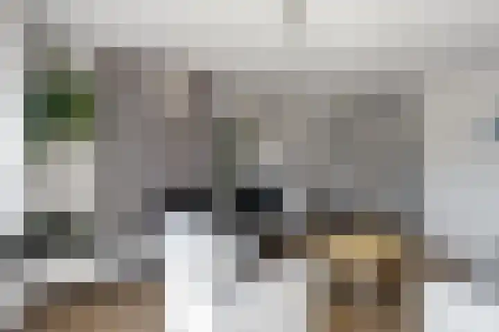 Orion 17 Den Helder thumbnail 13