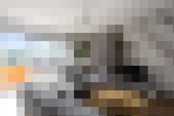 Orion 17 Den Helder thumbnail 14