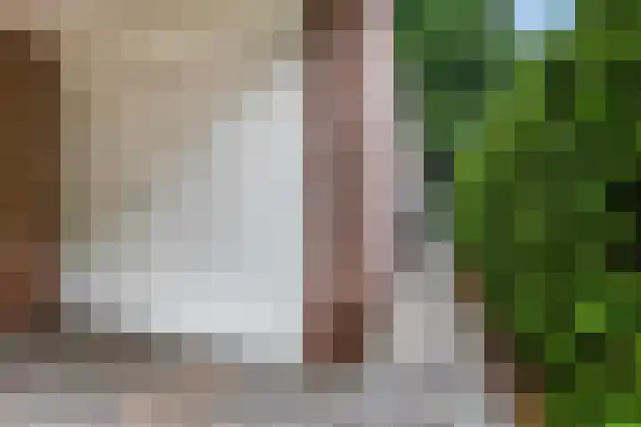 Orion 17 Den Helder thumbnail 15