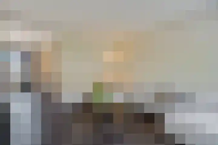 Orion 17 Veenendaal thumbnail 11