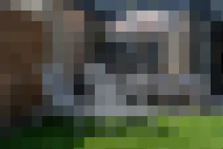 Orion 17 Veenendaal thumbnail 45