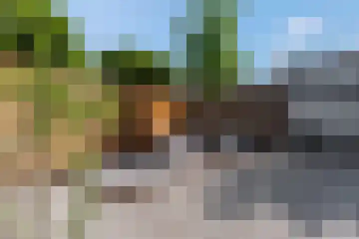Orion 17 Veenendaal thumbnail 47