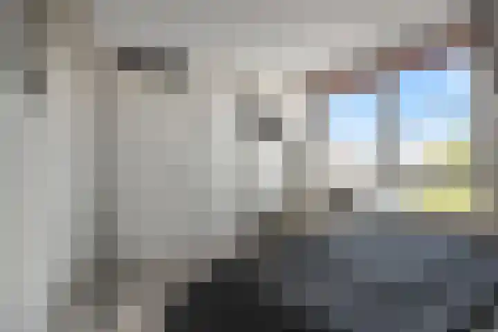 Orion 19 Den Helder thumbnail 14
