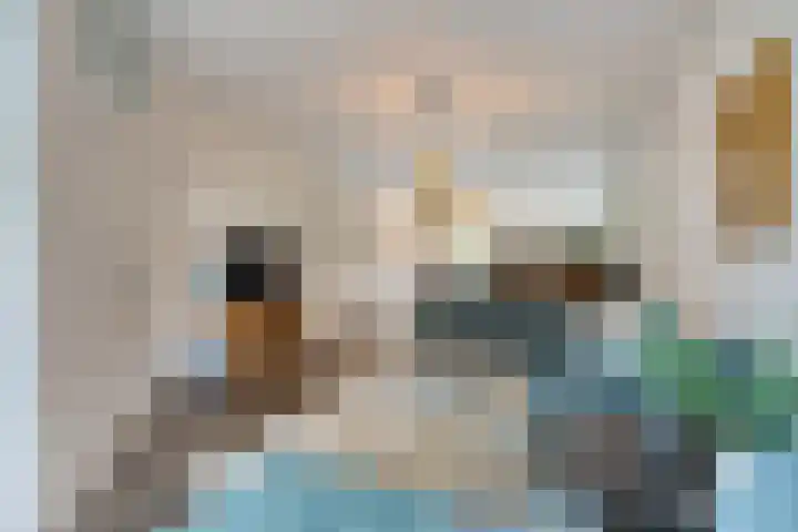 Orion 20 Oss thumbnail 11