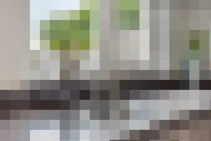 Orion 20 Oss thumbnail 14