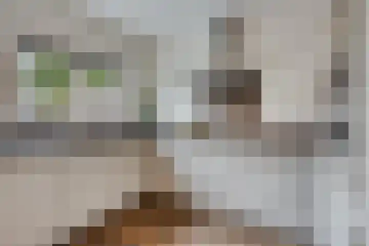 Orion 20 Oss thumbnail 15