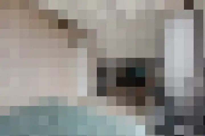 Orion 20 Oss thumbnail 21