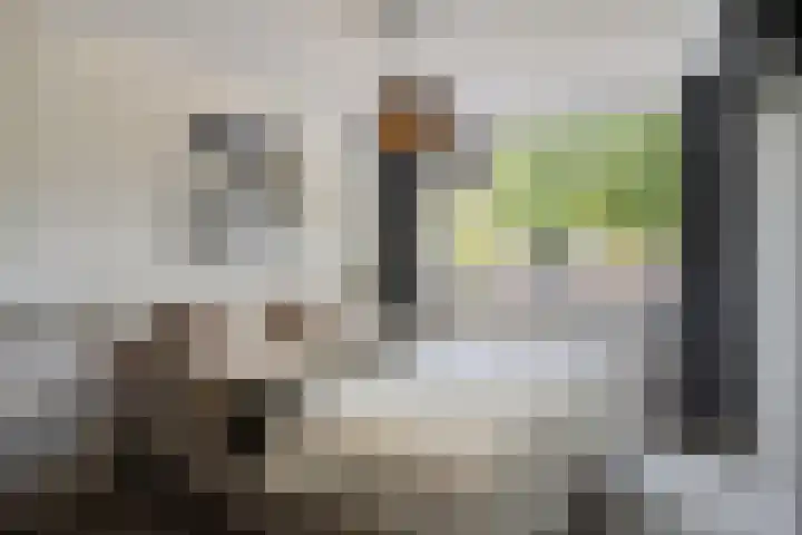 Orion 20 Oss thumbnail 24