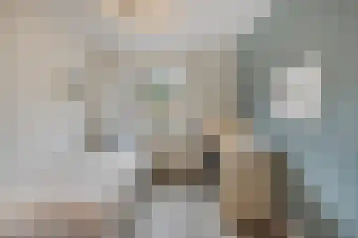 Orion 20 Oss thumbnail 27