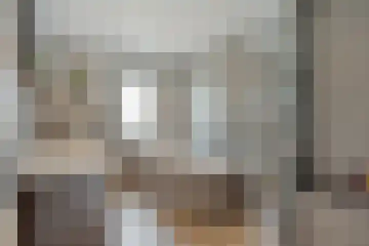 Orion 20 Oss thumbnail 28