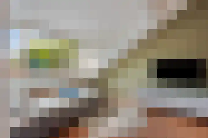 Orion 20 Oss thumbnail 32