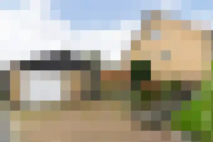 Orion 20 Oss thumbnail 33