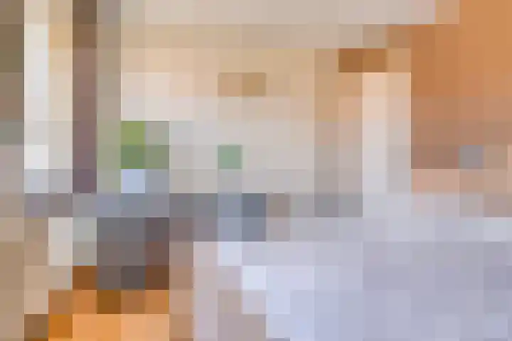 Orion 20 Oss thumbnail 41