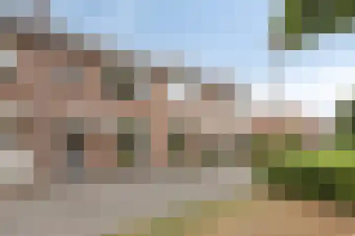 Orion 20 Oss thumbnail 5