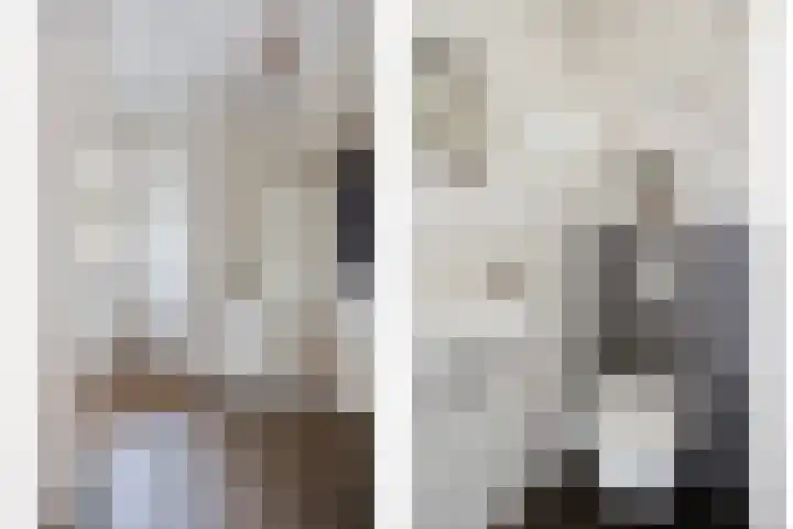 Orion 20 Oss thumbnail 8