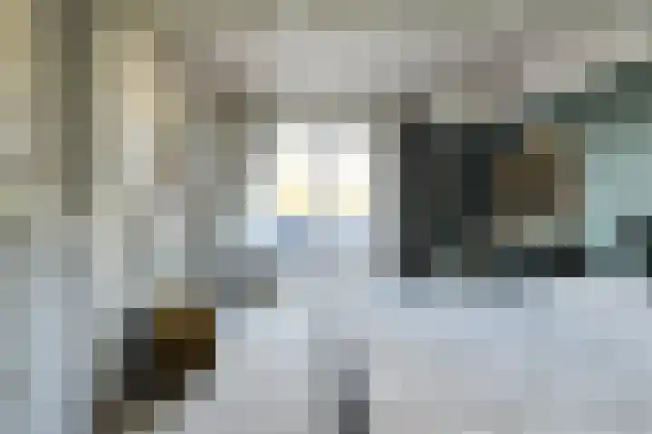 Orion 28 Oosterhout thumbnail 27