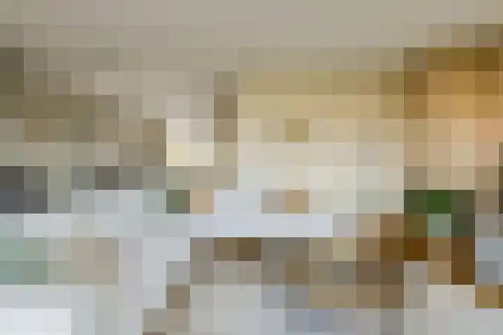 Orion 28 Oosterhout thumbnail 4
